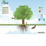 MyLeaf: la Conciliazione Famiglia-Lavoro a Km Zero. Intervista a Marco Beretta, Project Manager Conciliazione in AXIA