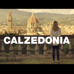 CALZEDONIA – Il Flop di Hollywood