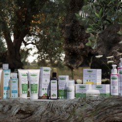 Pugliami – Olive Oil Cosmetics: un’idea pugliese al femminile