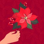 Stelle di Natale a fovore della ricerca AIL