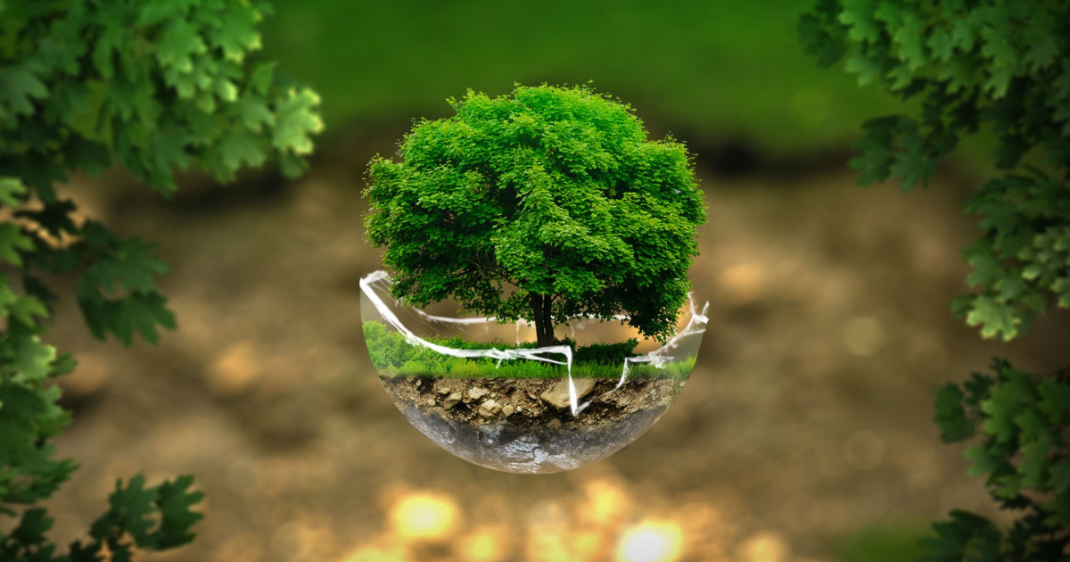 Green marketing e greenwashing: due strade verso la sostenibilità nella beauty industry